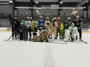 Image post by @bluesportstable on Instagram