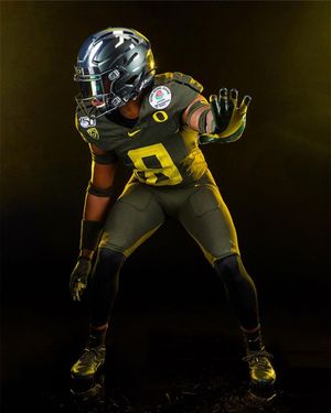 Image post by @goducks on Instagram