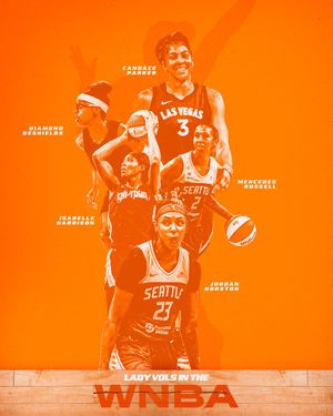 Image post by @LadyVol_Hoops on Twitter/X