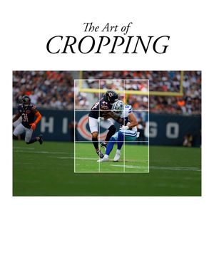 Video post by @chicagobears on TikTok