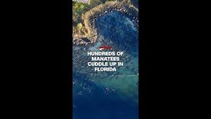 Video post by @cnn on YouTube