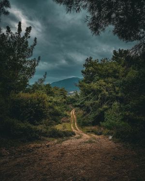 Image post by @mehmetemrecom on Instagram