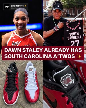 Image post by @soleretriever on Instagram