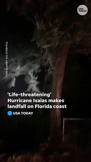 Video post by @usatoday on TikTok