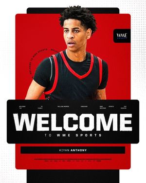 Image post by @wmesports on Instagram