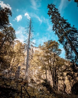 Image post by @cristan.nature.photography on Instagram