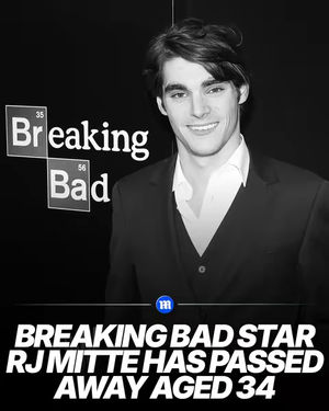 Image post by @dailymail on TikTok