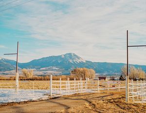 Image post by @connorpickett on Instagram