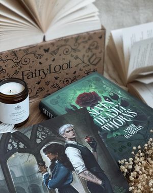 Image post by @fairyloot on Instagram