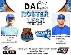 Image post by @newportgulls on Instagram