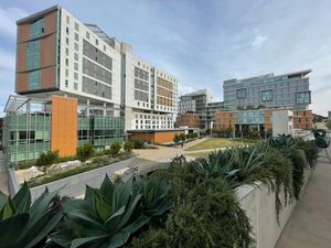 Image post by @ucsandiego on Instagram