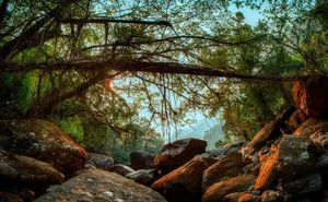 Image post by @arun__augustine on Instagram