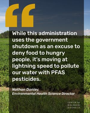 Image post by @centerforbiodiv on Instagram