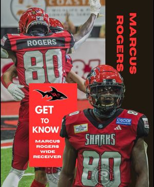 Image post by @jaxsharks on Instagram