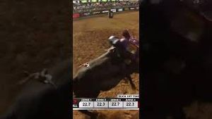 Video post by @pbr on YouTube
