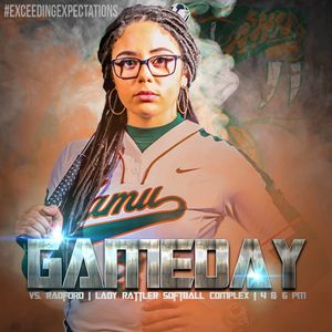 Image post by @famuathletics on Instagram
