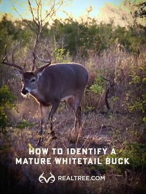 Image post by @realtreeoutdoors on Instagram