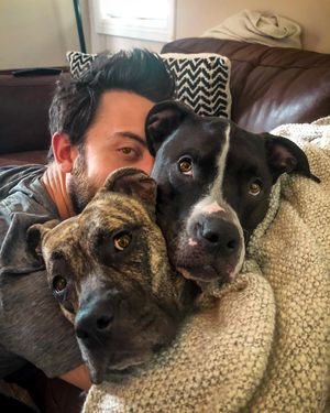 Image post by @realadamrose on Instagram