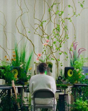 Image post by @kursza on Instagram