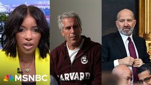 Video post by @msnbc on YouTube