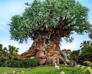 Image post by @disneyparksjobs on Instagram