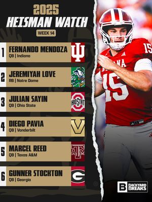 Image post by @backyardbreaks on Instagram