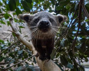 Image post by @sandiegozoo on Instagram
