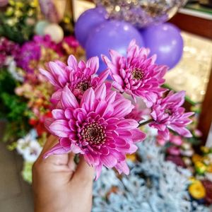 Image post by @sayitwithflowerspk on Facebook