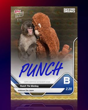 Image post by @backyardbreaks on Instagram