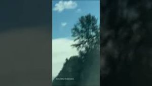 Video post by @firstcoastnews on YouTube