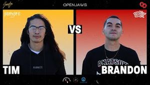 Video post by @chicagoskate on YouTube