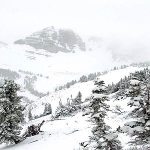 Image post by @jhski on Twitter