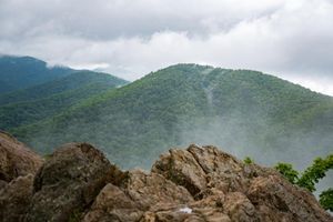 Image post by @montreat on Instagram