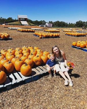 Image post by @southernbellefarm on Instagram