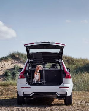 Image post by @volvocarusa on Instagram