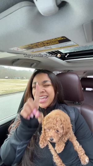 Video post by @callmecollins.hdc on TikTok