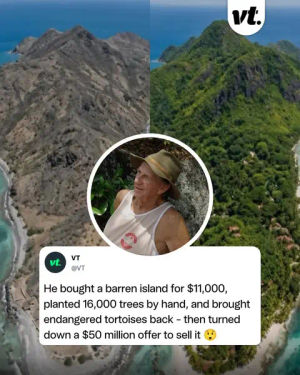 Image post by @vt on TikTok
