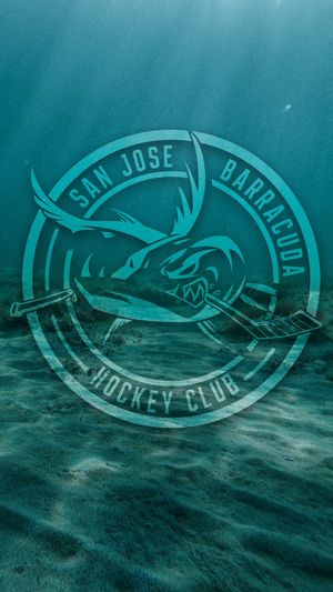 Image post by @sjbarracuda on Twitter/X