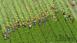 Image post by @zumapress on Instagram