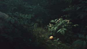 Image post by @themacrosift on Instagram