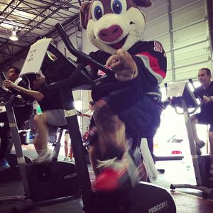Image post by @canes on Instagram