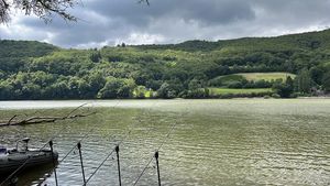 Image post by @brothercarp on Instagram