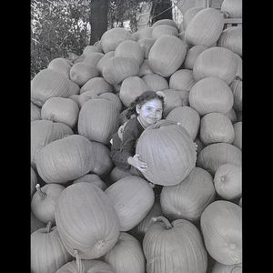 Image post by @toronto_archives on Instagram