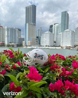 Image post by @miamidolphins on Instagram