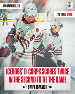 Image post by @ohlicedogs on Instagram
