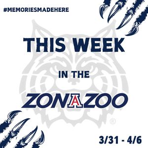 Image post by @zonazooofficial on Instagram