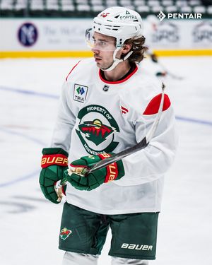 Image post by @minnesotawild on Instagram