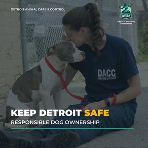 Image post by @DetroitGSD on Facebook