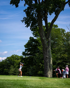 Image post by @playmassgolf on Instagram