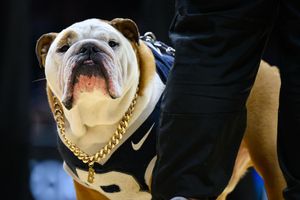 Image post by @thebutlerblue on Instagram